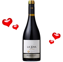 8 La Joya Sauvignon Blanc Reserva 07