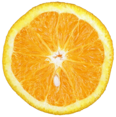 laranja24qz-scaled500