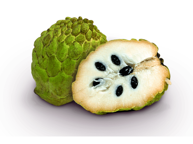 ATE3MOIA1__67804_zoom