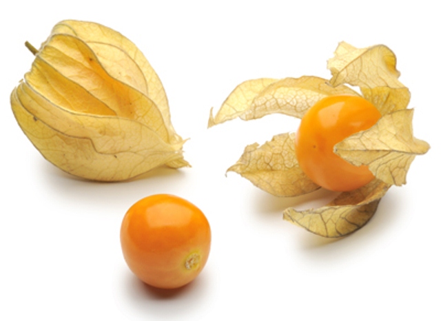 Physalis_02