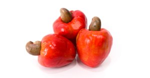 1109_poderalimentos_f_009