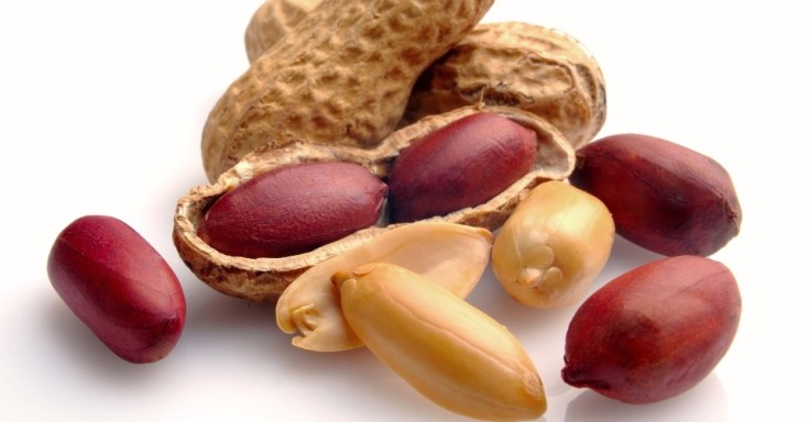 amendoim-casca-de-amendoim-1362750856434_956x500