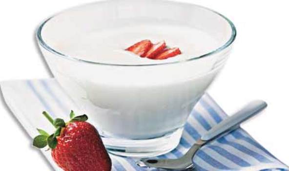 393046-Alimentos-que-substituem-o-leite