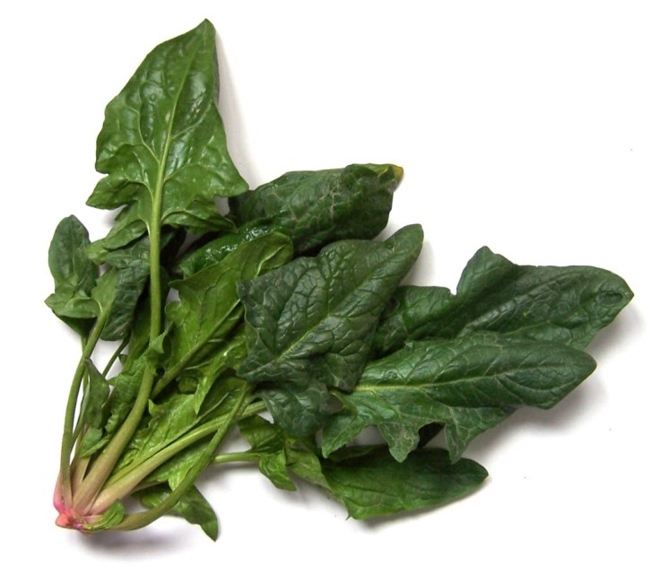 spinach_1340138476